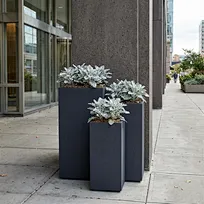 A staggered arrangement of three tall, charcoal grey GFRC square planters featuring silver foliage, positioned against a textured architectural pillar at a modern commercial building entrance.